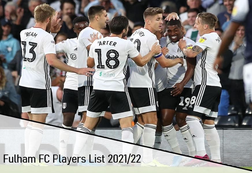  Fulham FC: Champions - Season Review 2021/22 [Region Free] :  Movies & TV