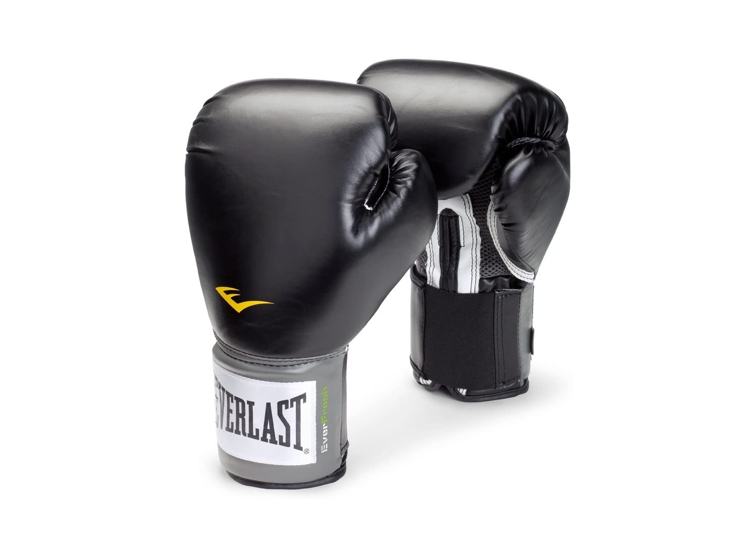 what are the best boxing gloves to buy