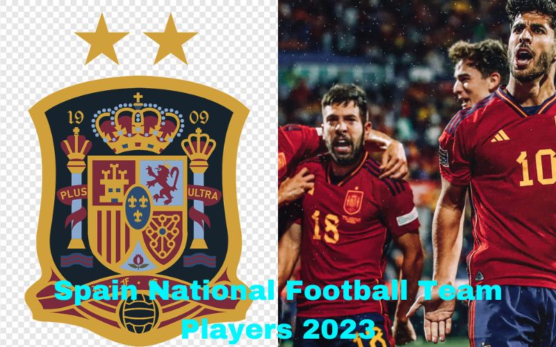 Spain National Football Team Players 2023 | Complete Details Of Positions With Their Nationality